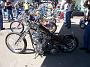 Sturgis87