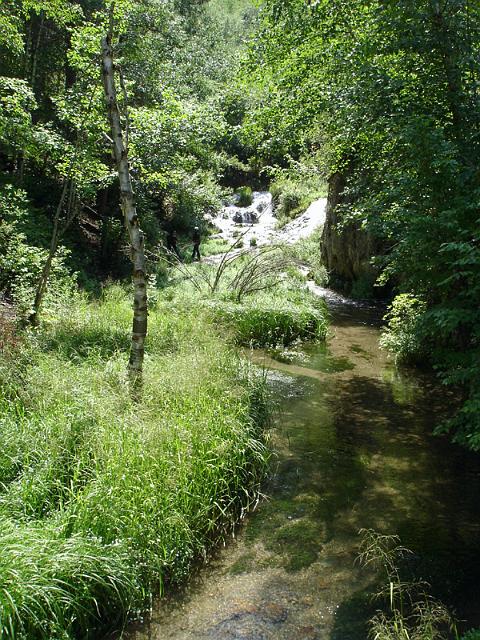 Spearfish017.jpg